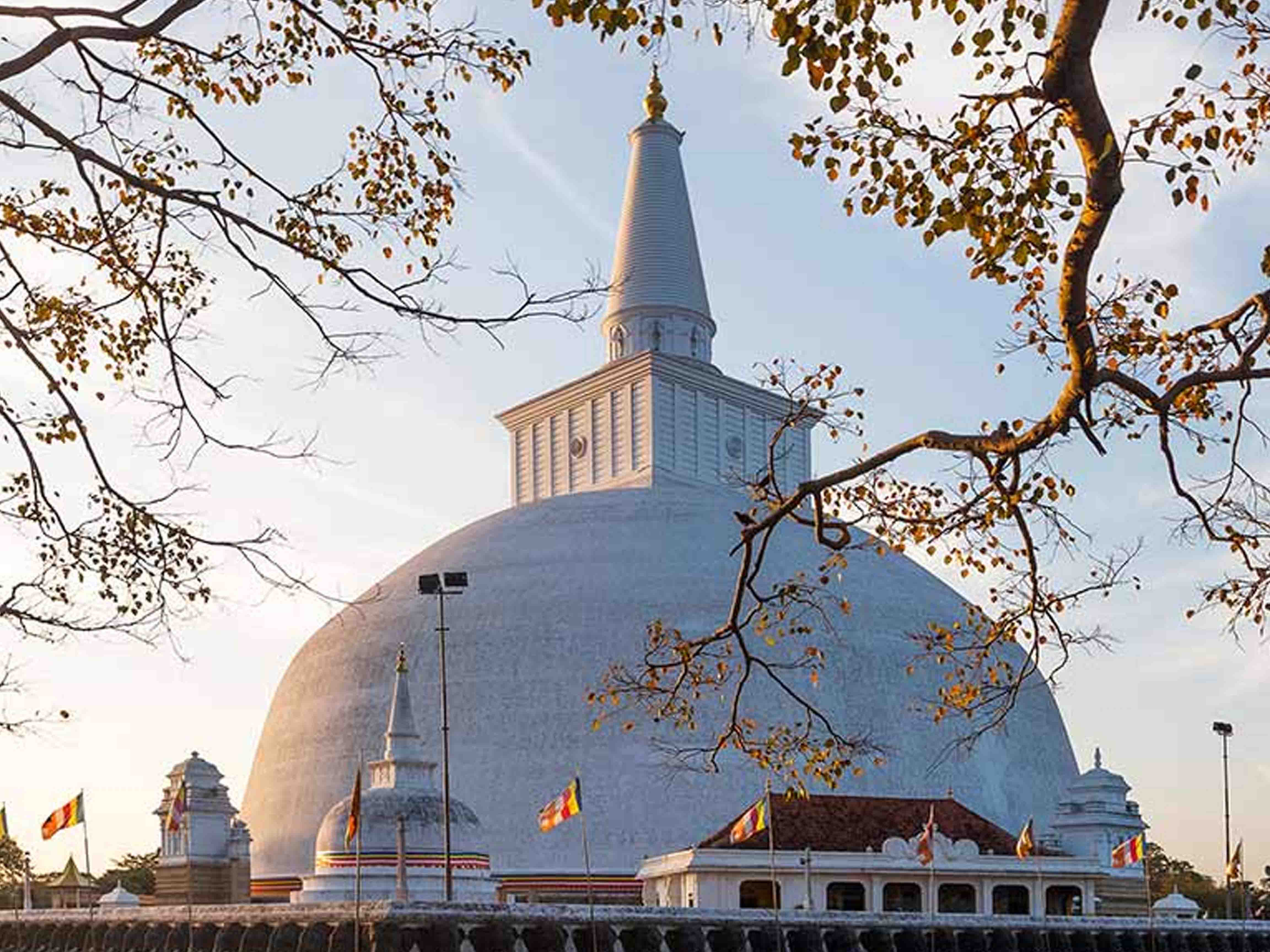 Anuradhapura City and Village Cycling Tour
