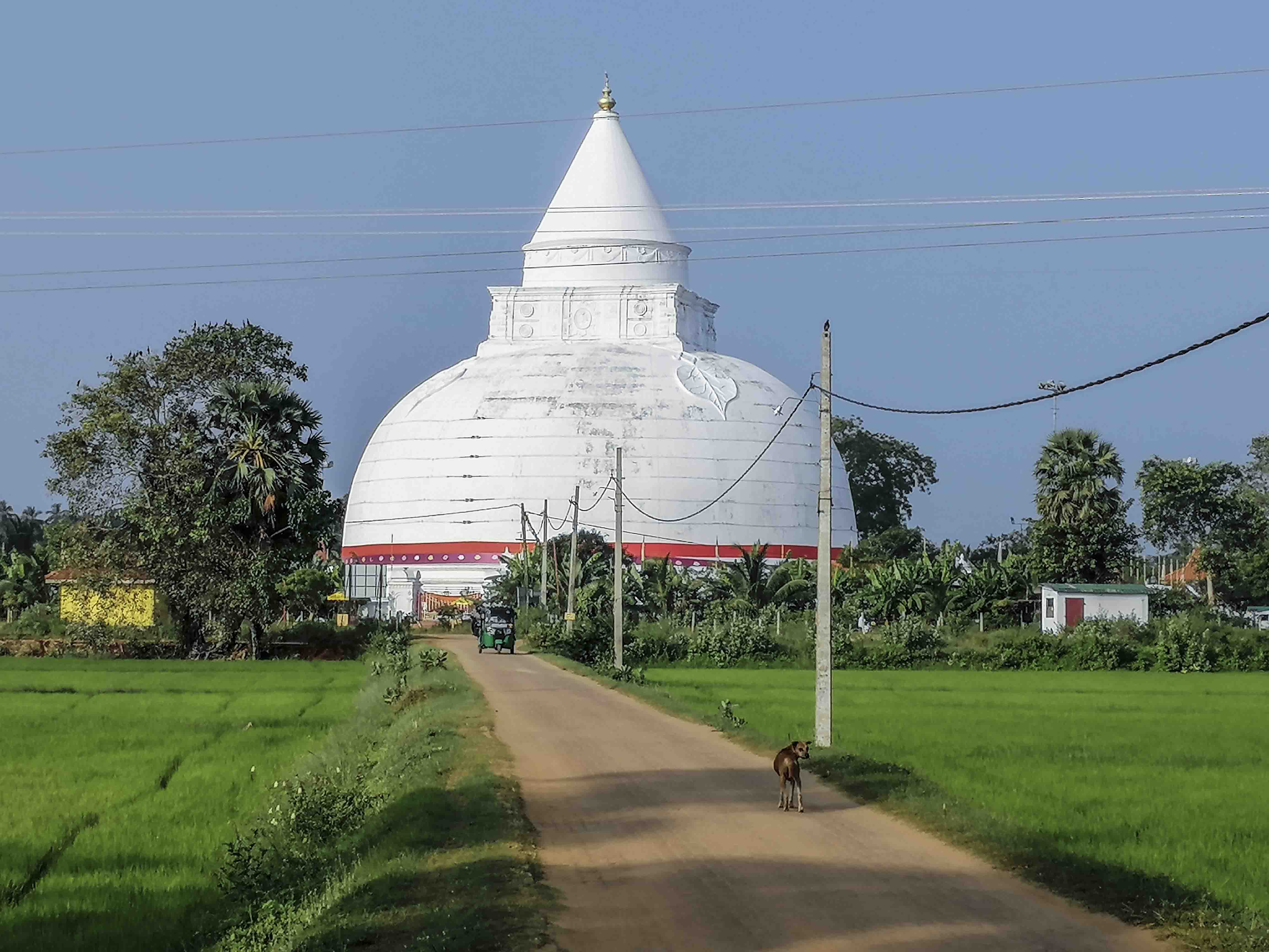 Anuradhapura Old City Cycling Tour