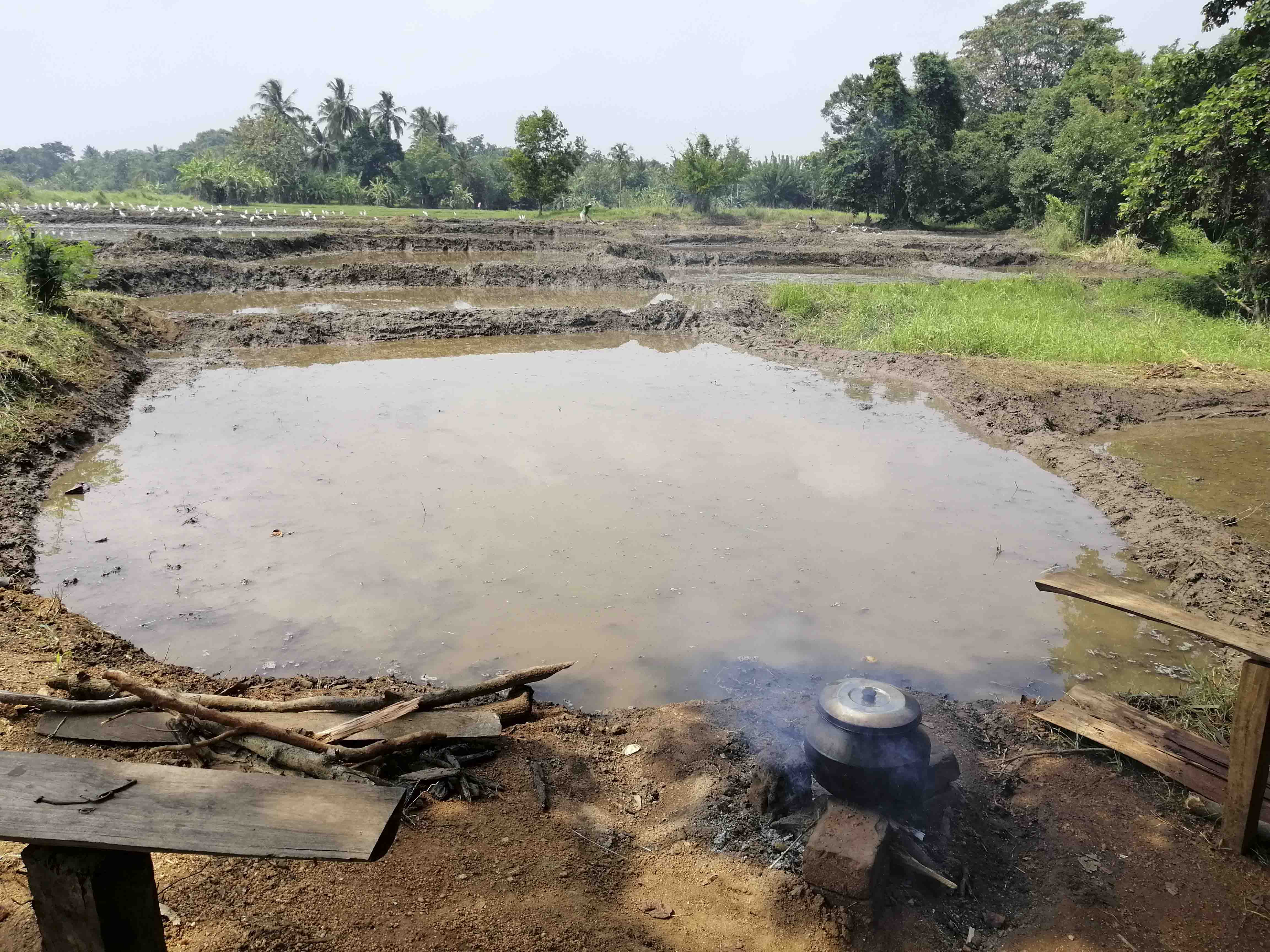 Anuradhapura Village Cycling Tour