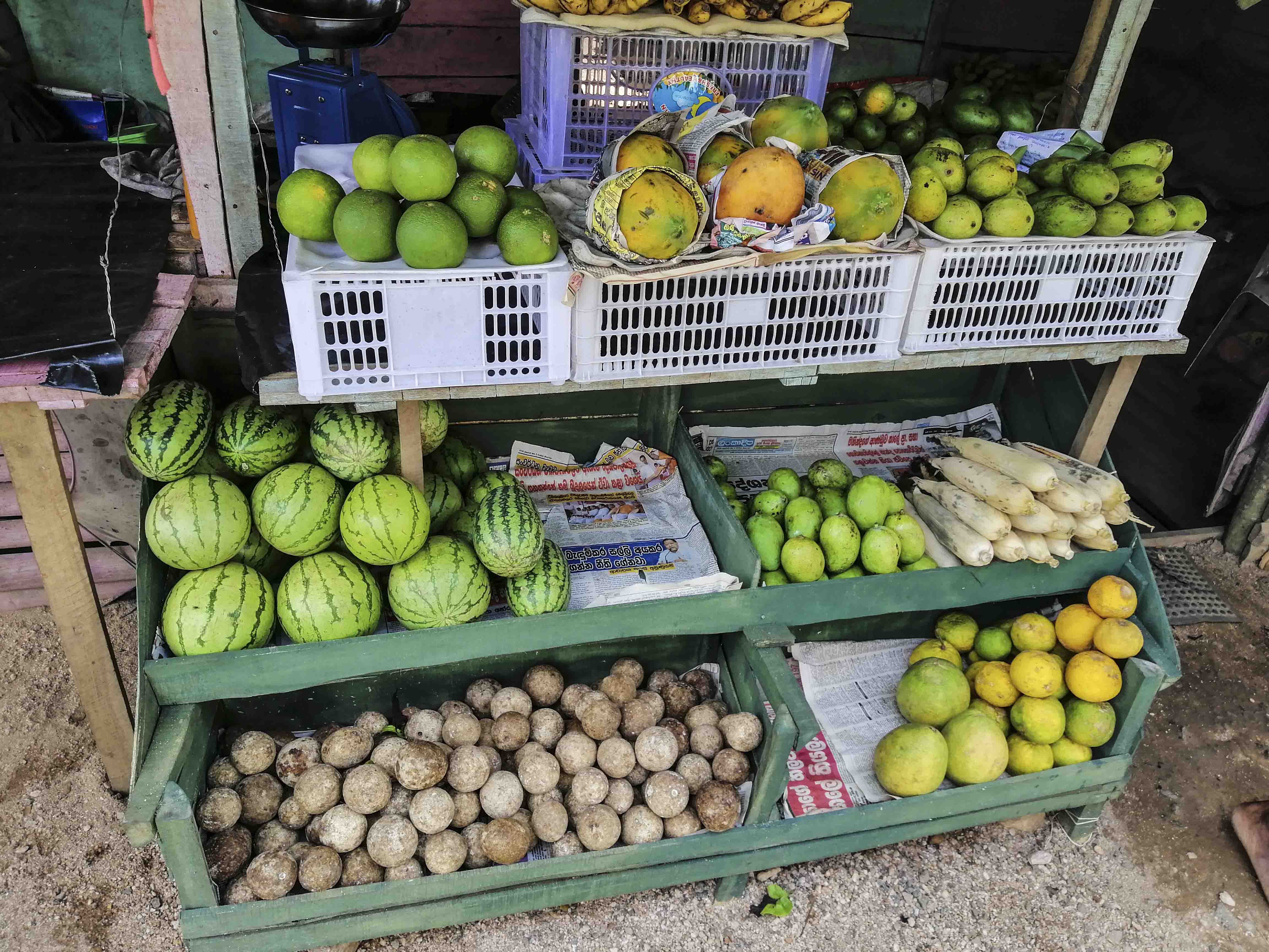 Bentota Village and Temple Cycling Tour