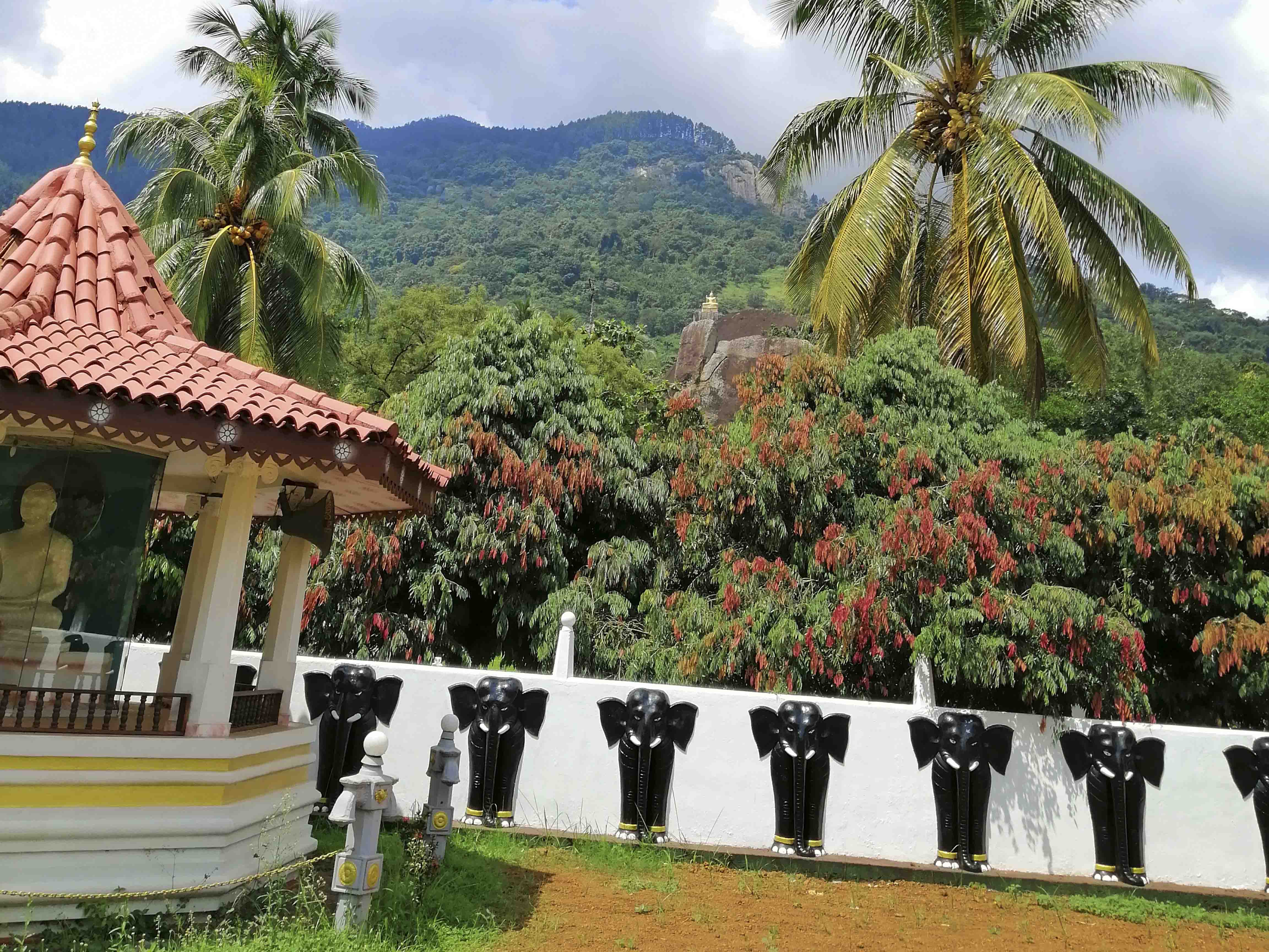 Bentota Village and Temple Cycling Tour