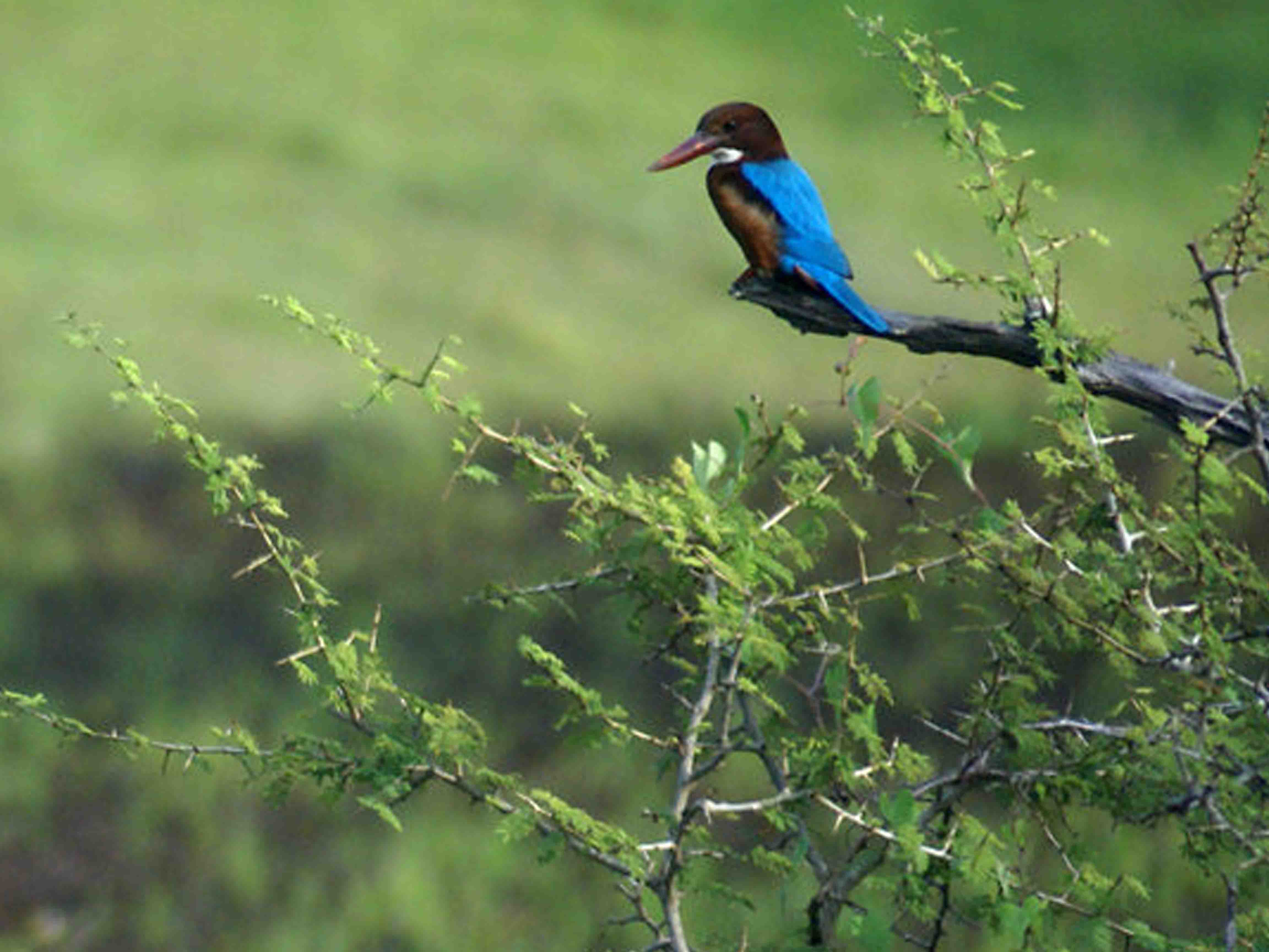 Walking and Cycling Tour