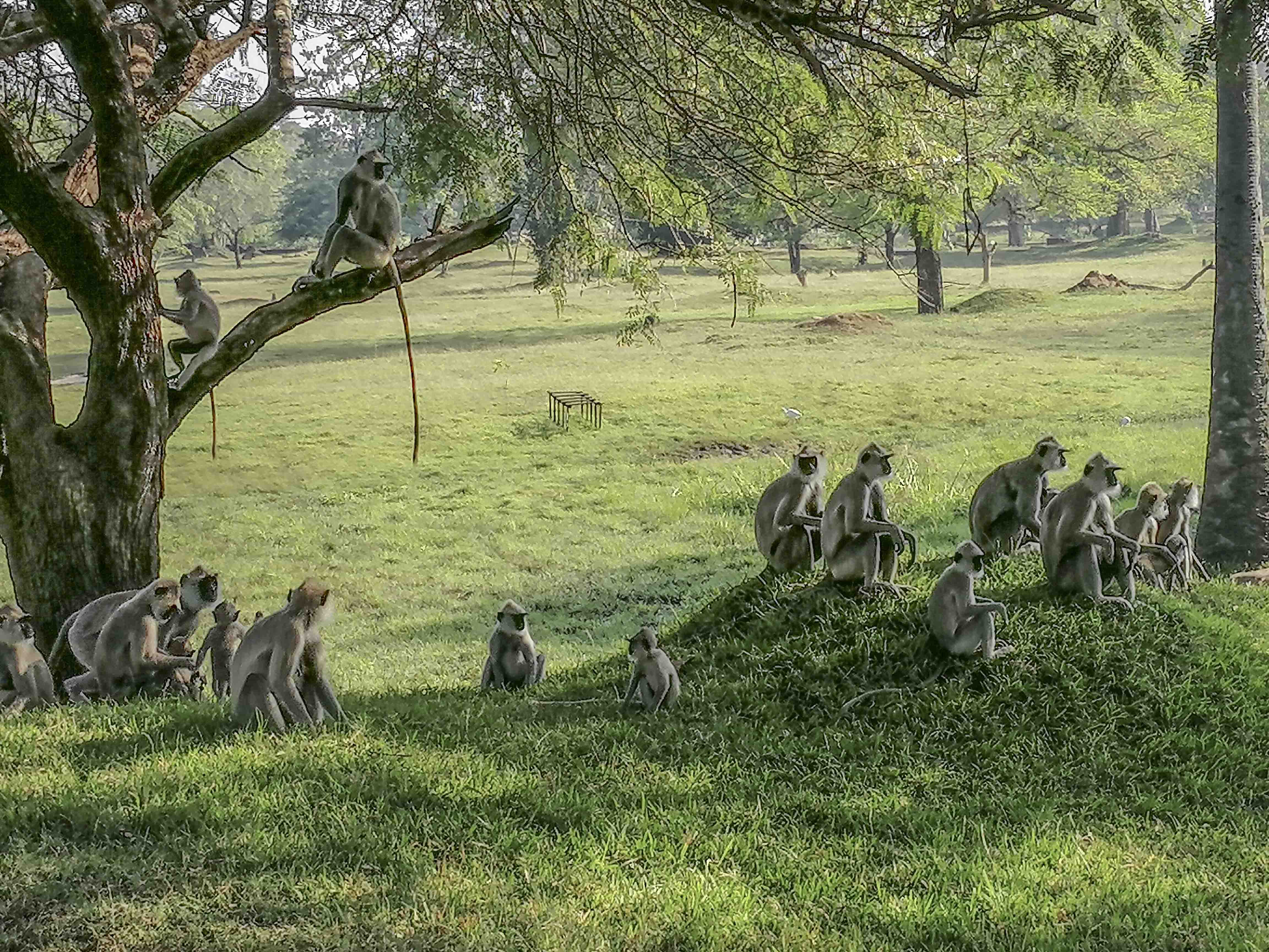 Walking and Cycling Tour