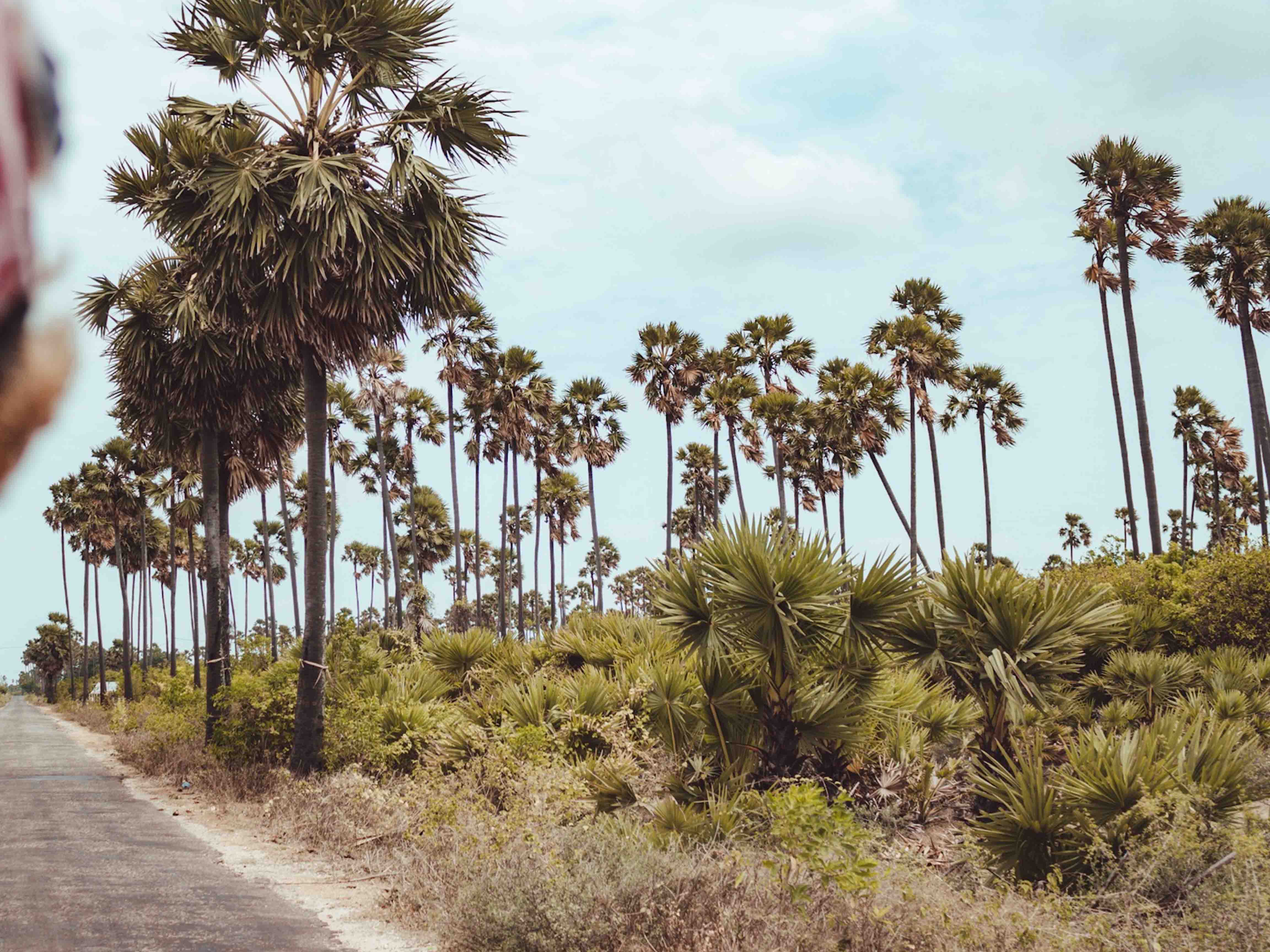 Jaffna City Cycling Tour