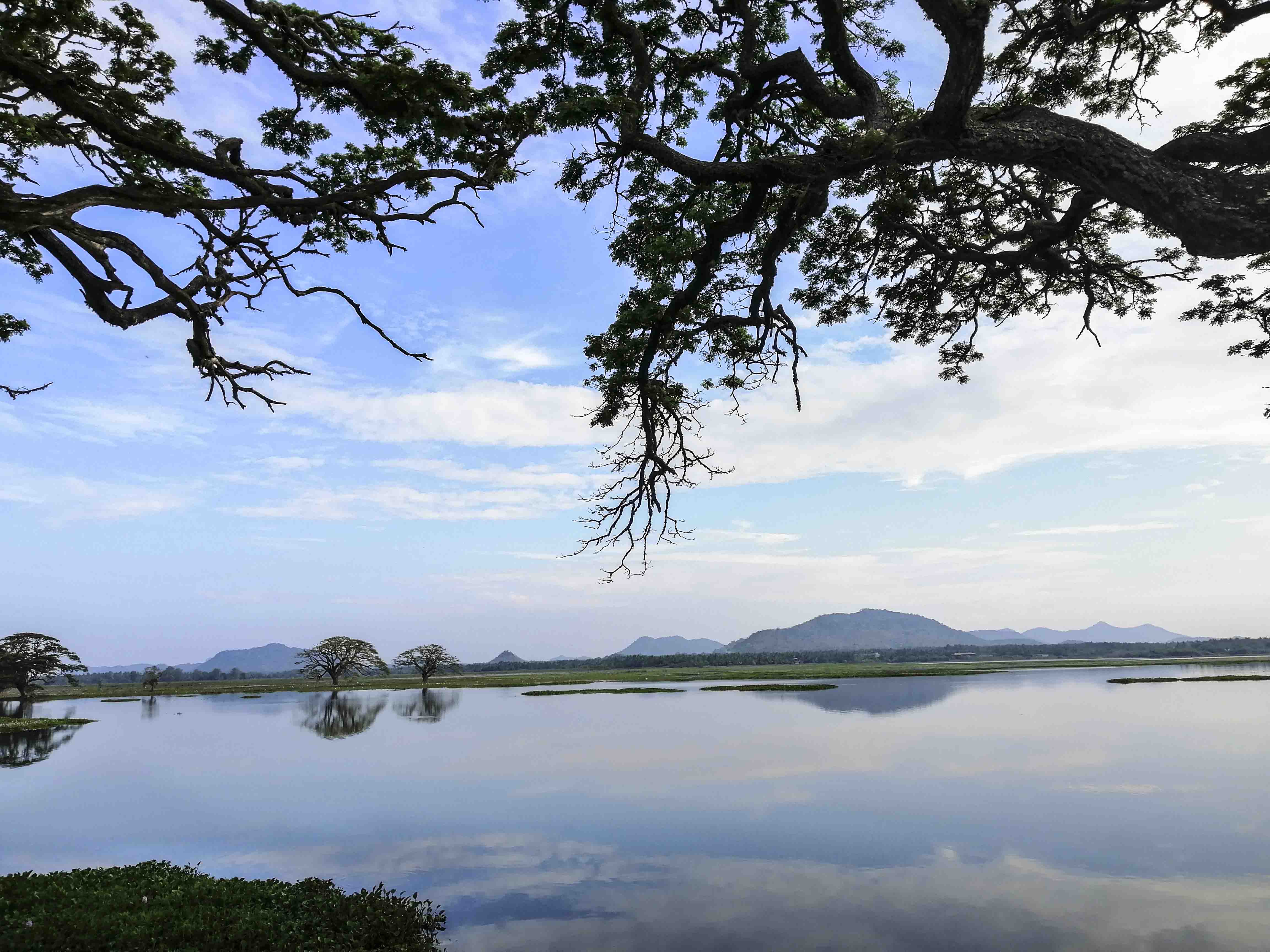 Mirissa Village Cycling Tour