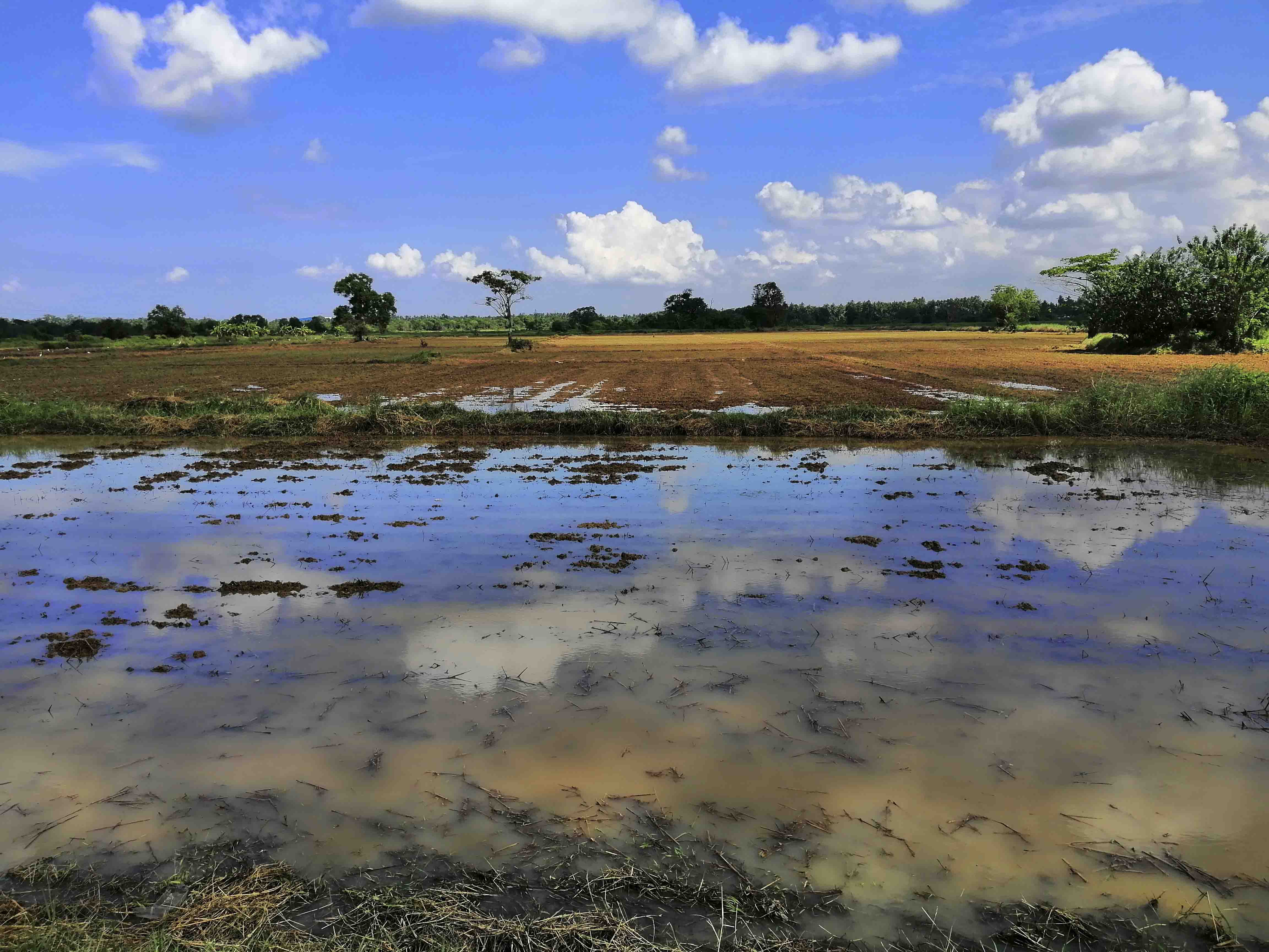 Mirissa Village Tour