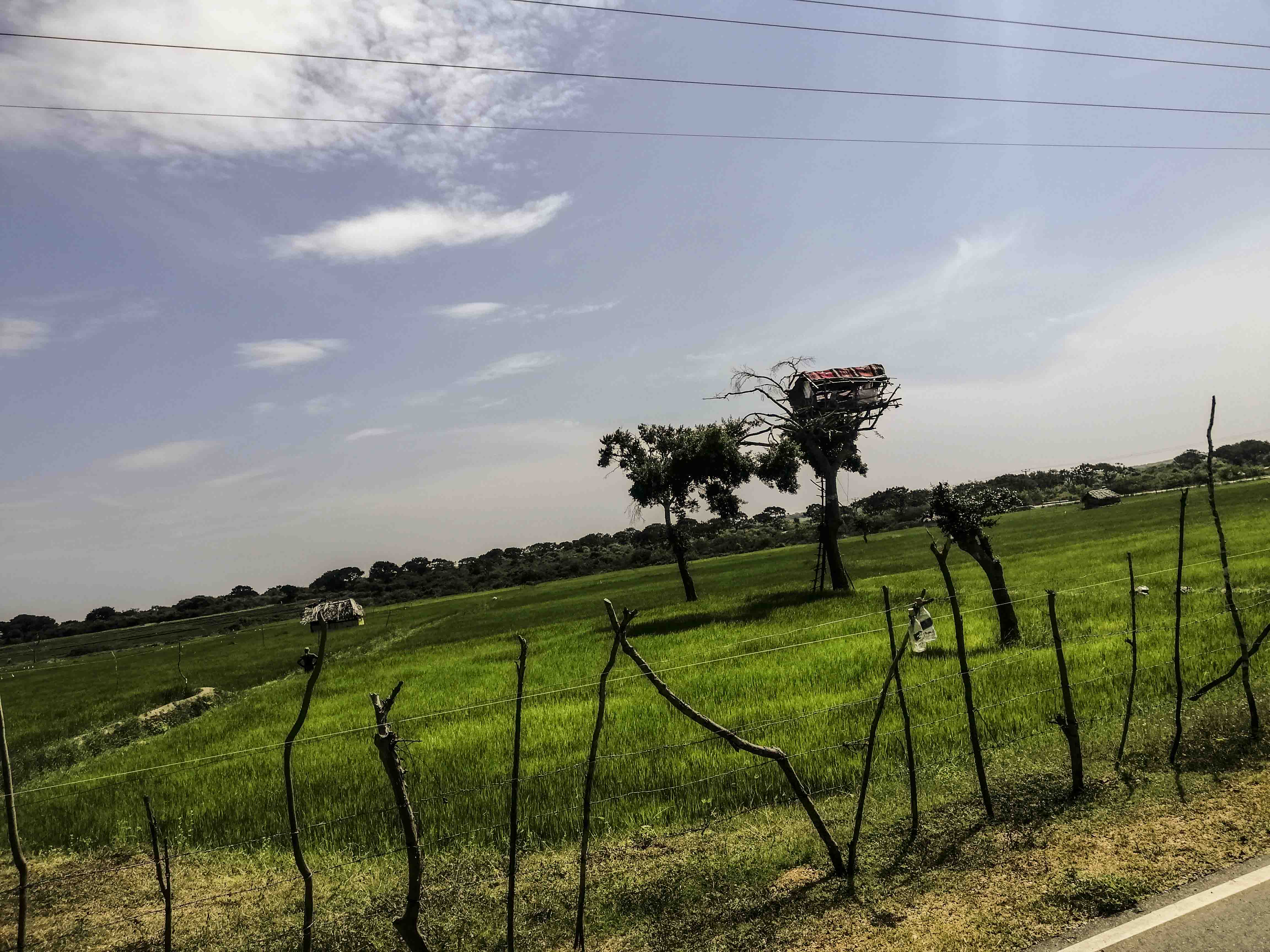 Sigiriya Lake and Village Tour